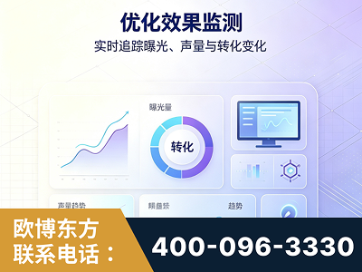 泉州-优化效果监测