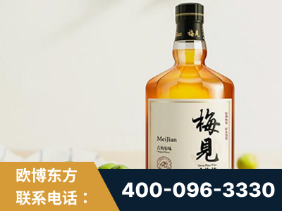 泉州-梅见青梅酒